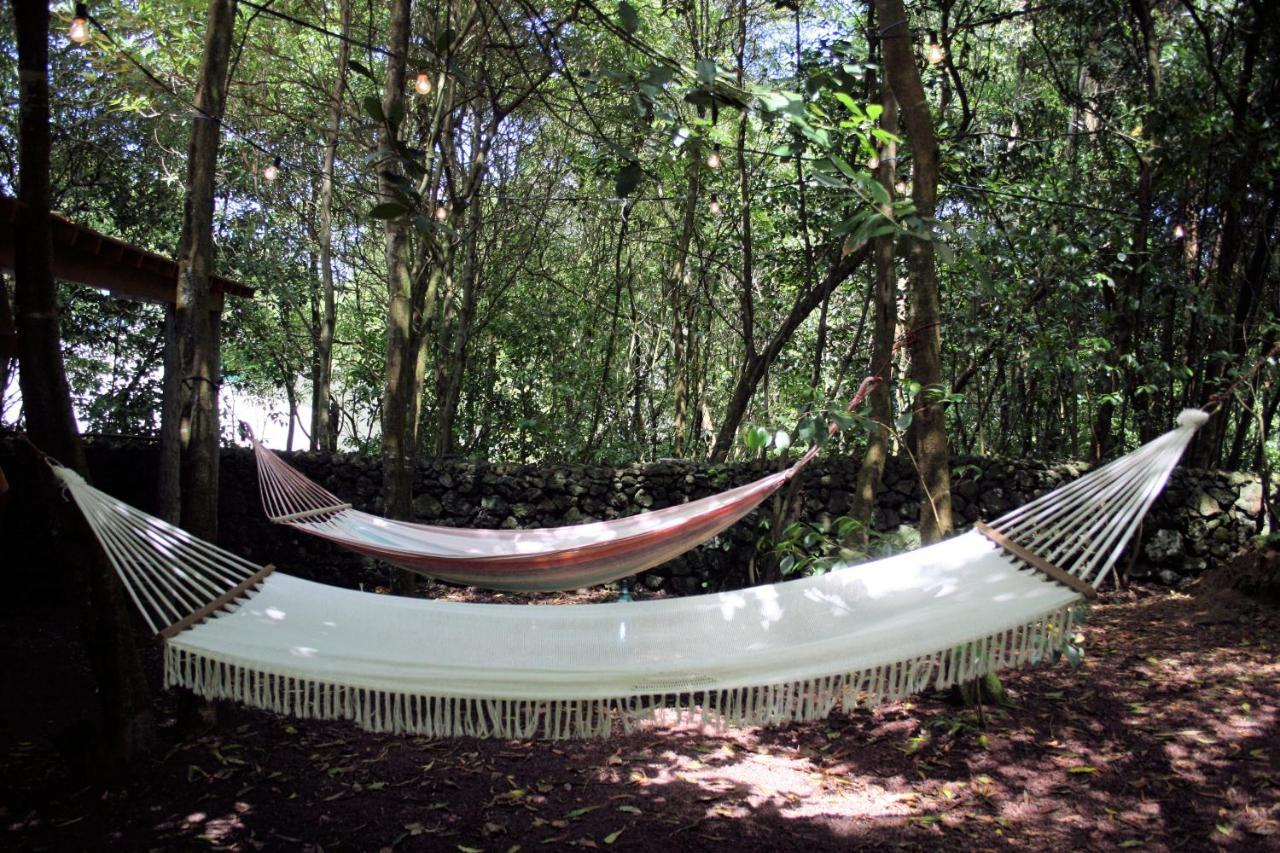 Azores Casa Da Mata Wellness Spa São Vicente Ferreira Extérieur photo